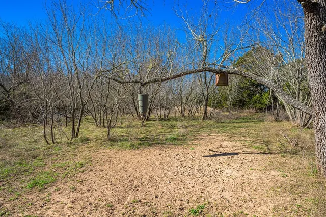 a view of pathway with a tree