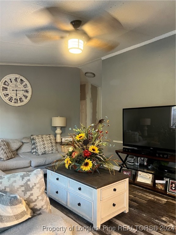3221 Moss Neck Road Pembroke, NC 28372 - Photo 10 of 19 Gallery Image 10