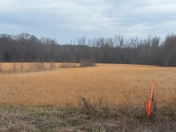 $80,000 | 0 Pine Top Road, Toone, TN 38381