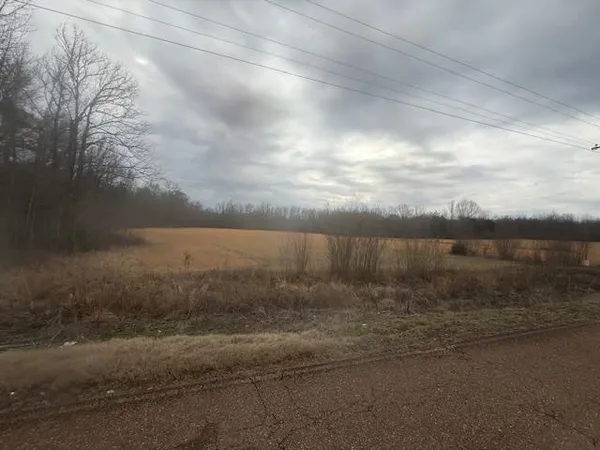 $80,000 | 0 Pine Top Road, Toone, TN 38381
