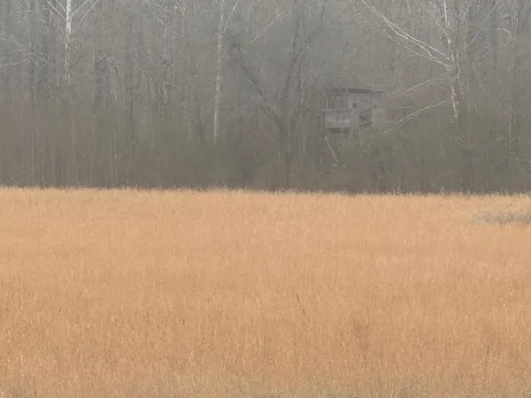 $80,000 | 0 Pine Top Road, Toone, TN 38381