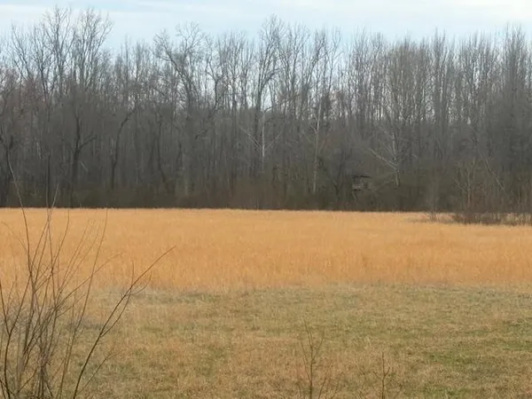 $80,000 | 0 Pine Top Road, Toone, TN 38381