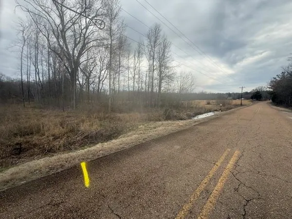 $80,000 | 0 Pine Top Road, Toone, TN 38381