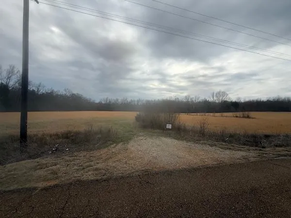 $80,000 | 0 Pine Top Road, Toone, TN 38381