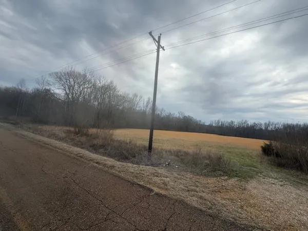 $80,000 | 0 Pine Top Road, Toone, TN 38381