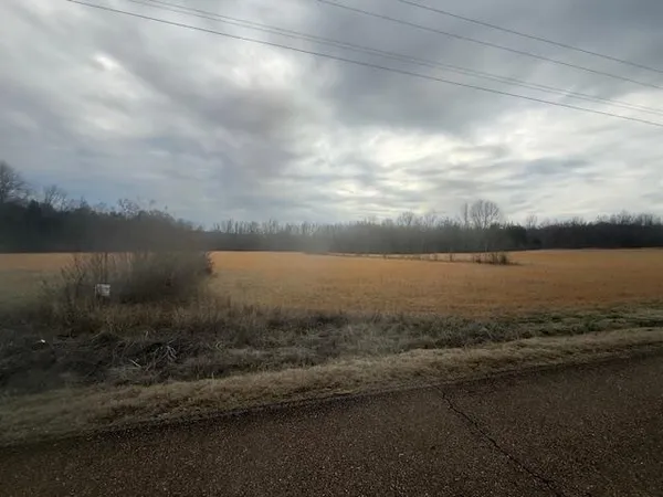 $80,000 | 0 Pine Top Road, Toone, TN 38381