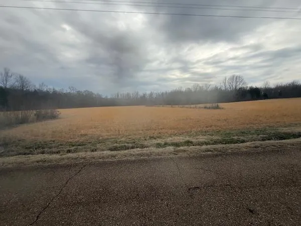 $80,000 | 0 Pine Top Road, Toone, TN 38381