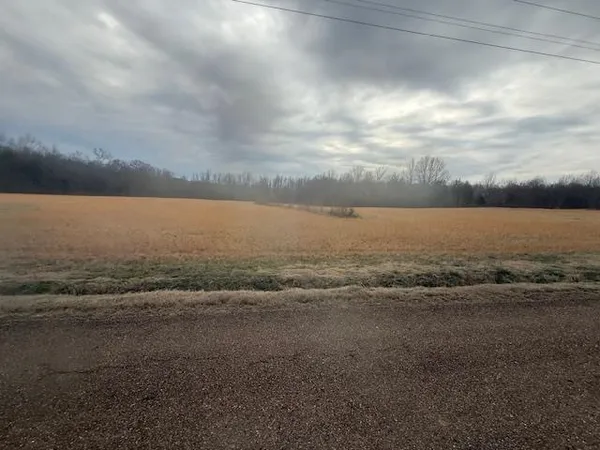 $80,000 | 0 Pine Top Road, Toone, TN 38381