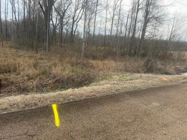 $80,000 | 0 Pine Top Road, Toone, TN 38381