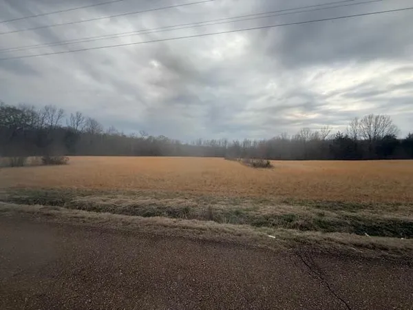$80,000 | 0 Pine Top Road, Toone, TN 38381