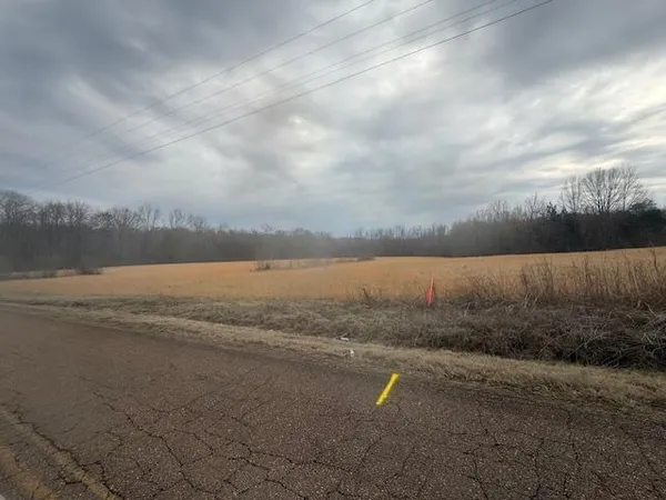 $80,000 | 0 Pine Top Road, Toone, TN 38381