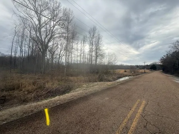 $80,000 | 0 Pine Top Road, Toone, TN 38381