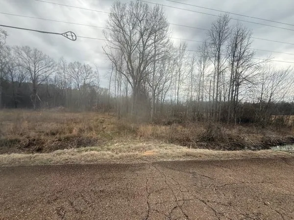 $80,000 | 0 Pine Top Road, Toone, TN 38381