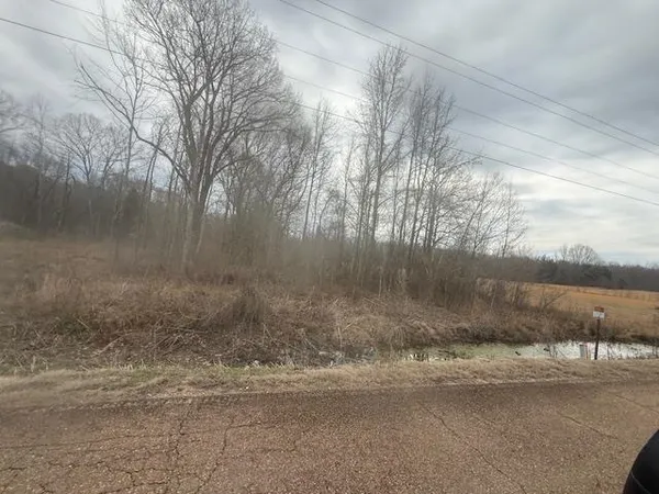 $80,000 | 0 Pine Top Road, Toone, TN 38381