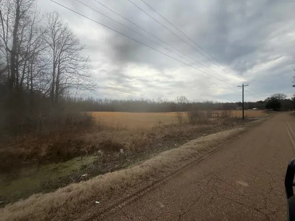 $80,000 | 0 Pine Top Road, Toone, TN 38381