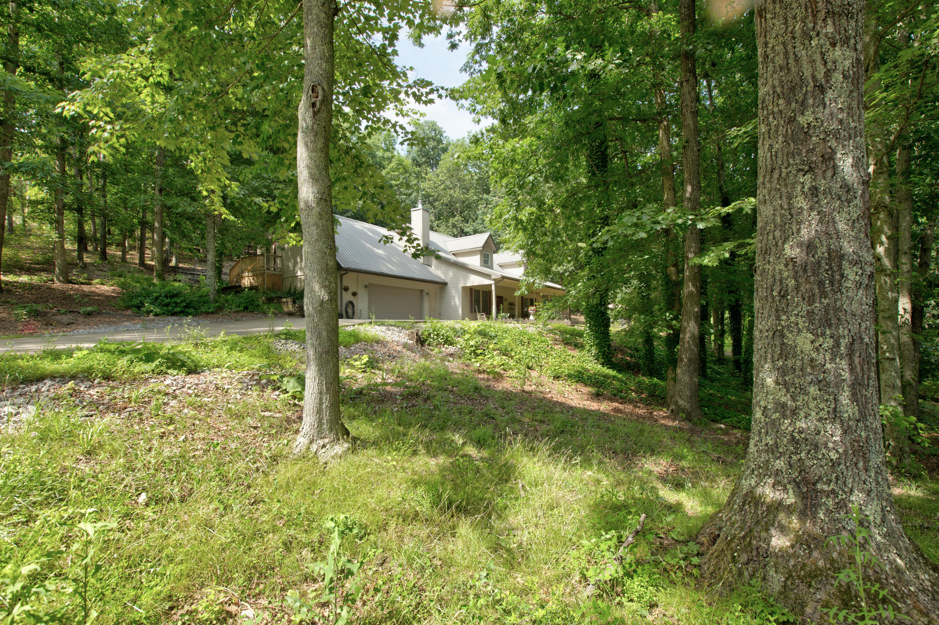 484 Old Log Lick Road Winchester, KY 40391 - Photo 42 of 43 261A9544_5_6