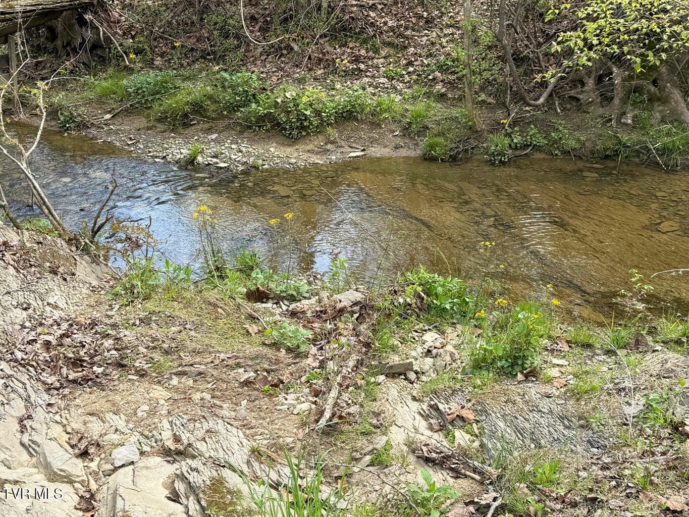 0 Longtown Road Bulls Gap, TN 37711 - Photo 14 of 34 20250417183741023678000000-o
