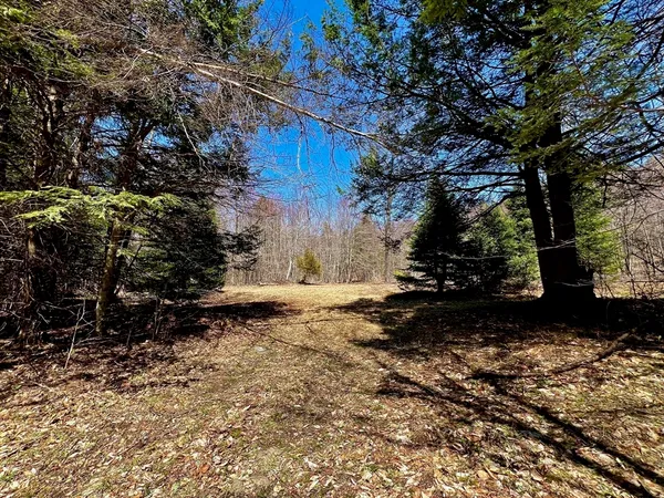 $625,000 | 374 Watson Spruce Corner Road, Ashfield, MA 01330