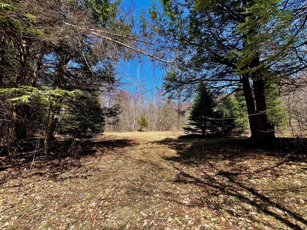 374 Watson Spruce Corner Road Ashfield, MA 01330 - Photo 39 of 39 Gallery Image 39
