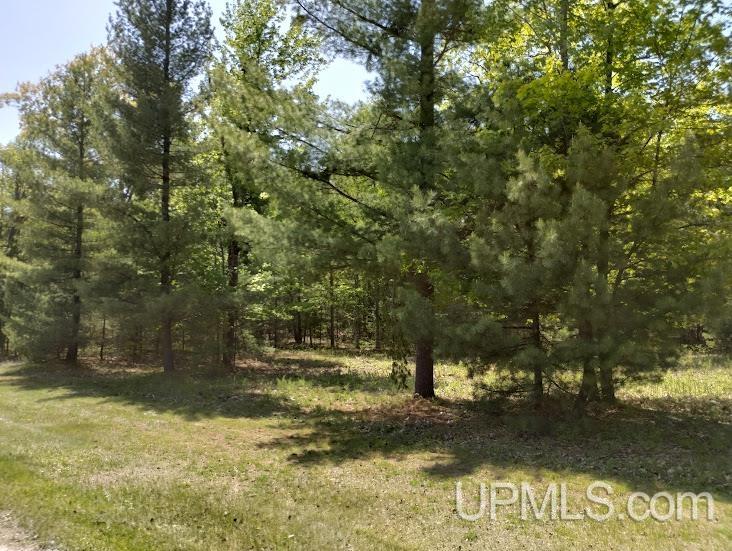 10441 Breezy R.22 Lane Rapid River, MI 49878 - Photo 5 of 5