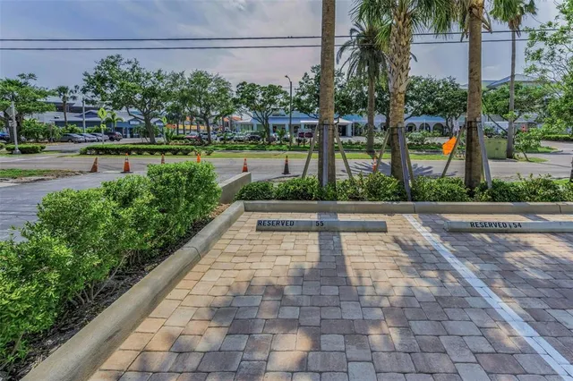 a view of a yard with plants