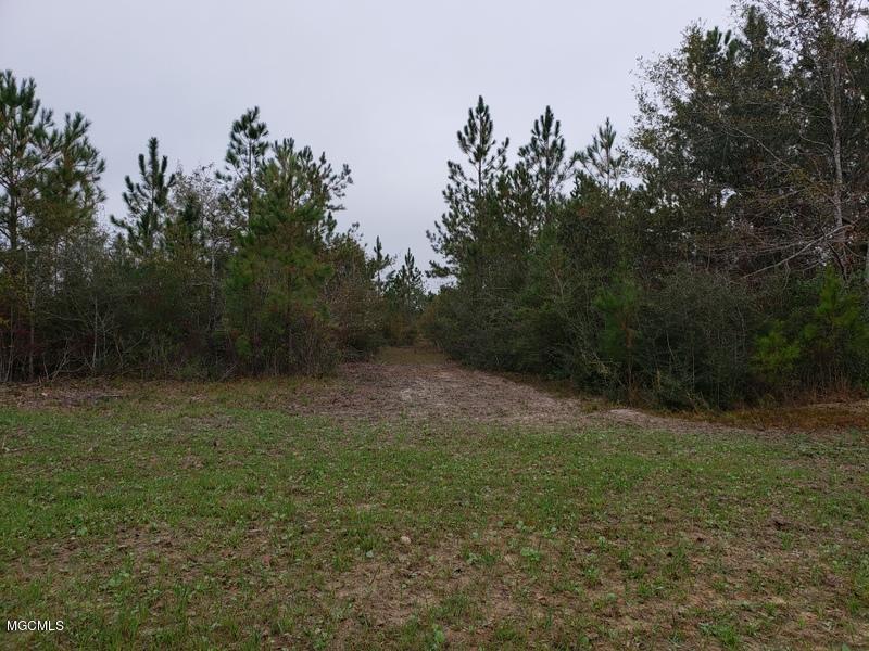 30-acres Rotten Bayou Road Pass Christian, MS 39571 - Photo 4 of 8 20201112_085327