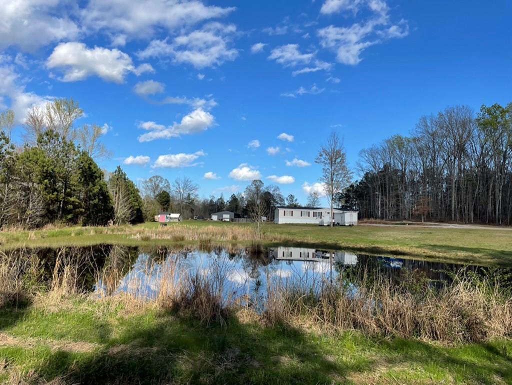 407 Reedy Creek Road Bradley, SC 29819 - Photo 1 of 25