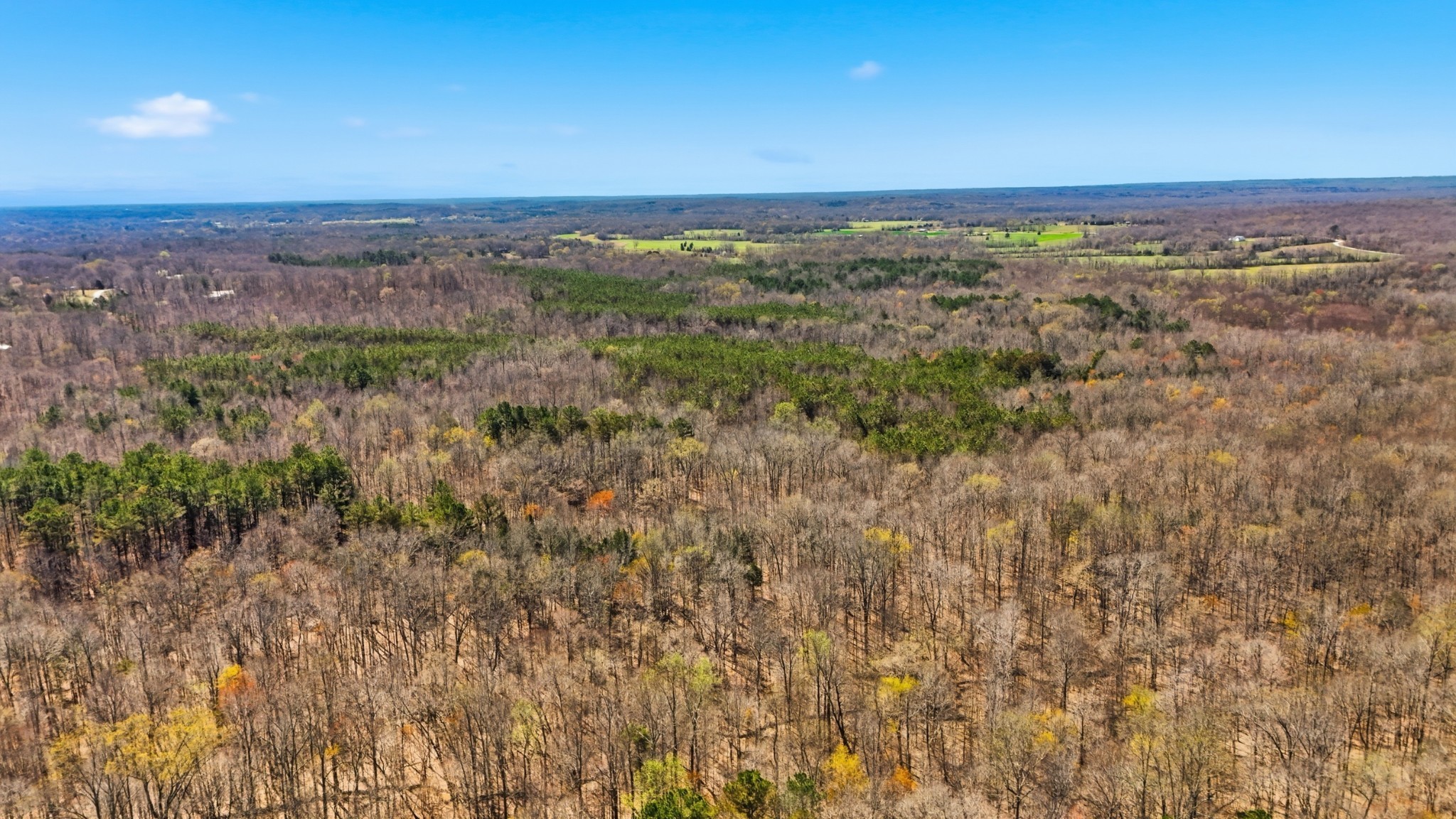 1 Fowler Road Beech Bluff, TN 38313 - Photo 4 of 21 Gallery Image 4