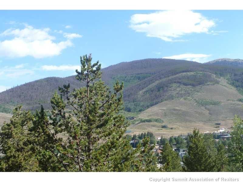 110 Evergreen Road, Unit 104B Dillon, CO 80435 - Photo 5 of 19 a view of a yard with a house