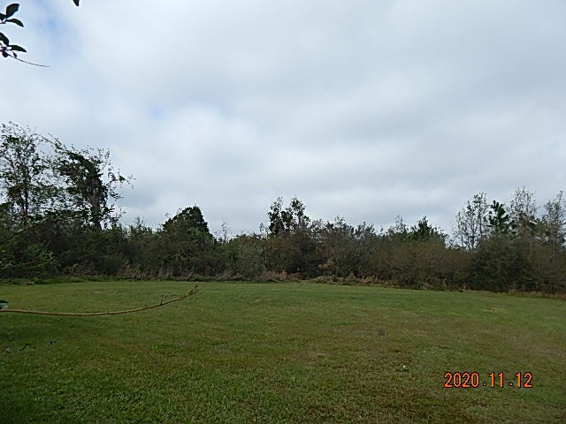 12676 My Way Fairhope, AL 36532 - Photo 6 of 21 Back Yard