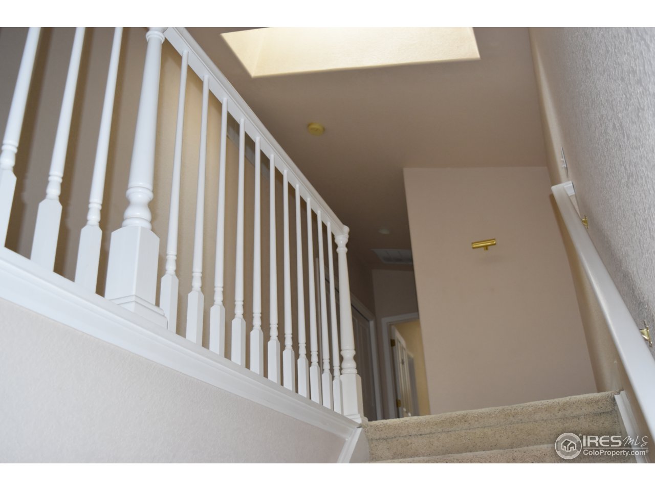 228 Jackson Street Denver, CO 80206 - Photo 29 of 40