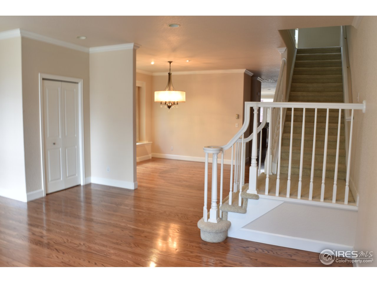 228 Jackson Street Denver, CO 80206 - Photo 5 of 40