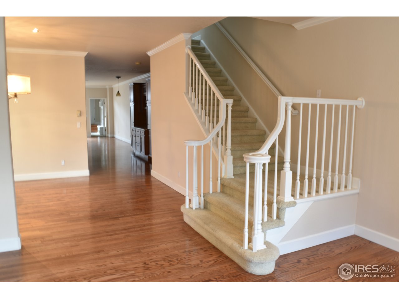 228 Jackson Street Denver, CO 80206 - Photo 6 of 40
