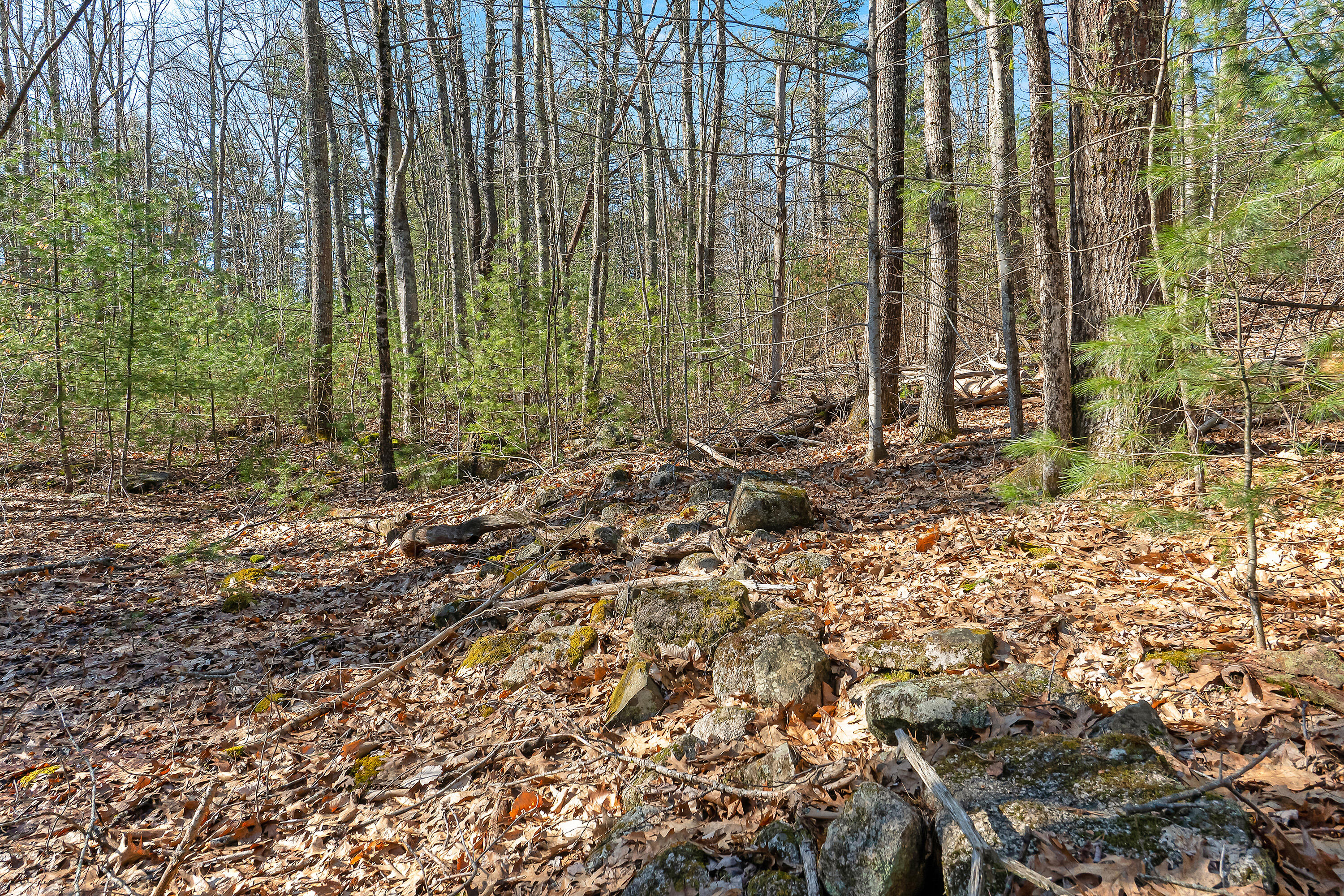 186 Ogunquit Road York, ME 03902 - Photo 3 of 15 186 Ogunquit Rd, York