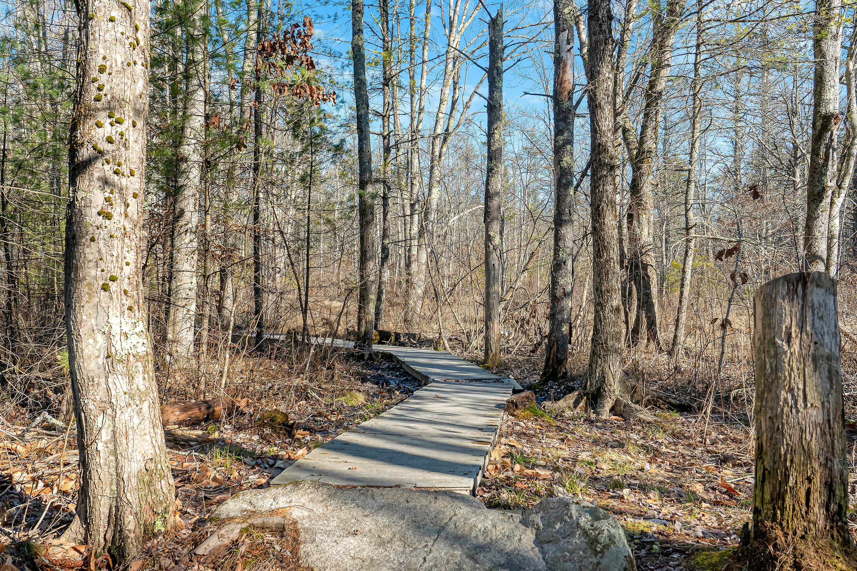 186 Ogunquit Road York, ME 03902 - Photo 9 of 15 186 Ogunquit Rd, York