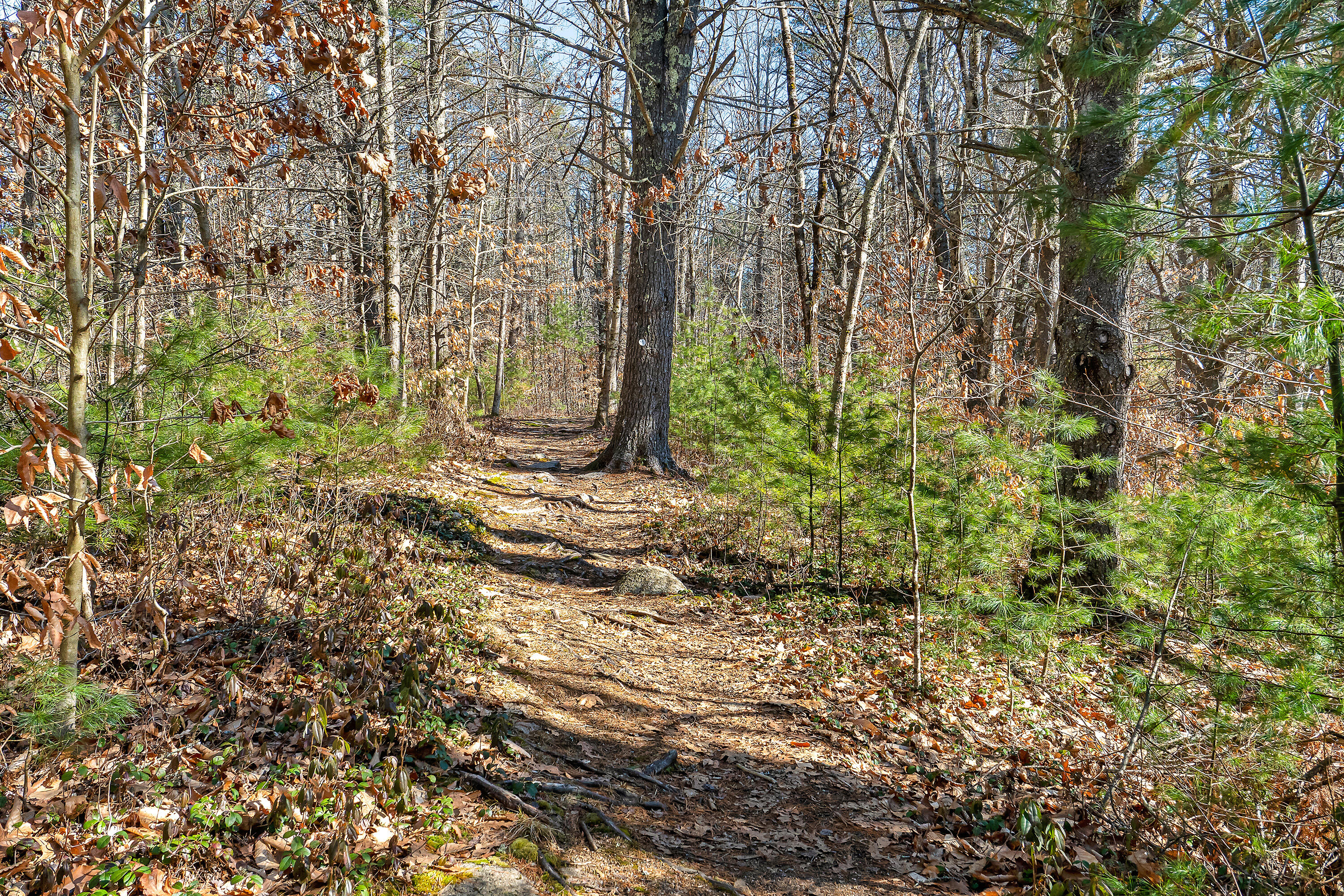 186 Ogunquit Road York, ME 03902 - Photo 10 of 15 186 Ogunquit Rd, York