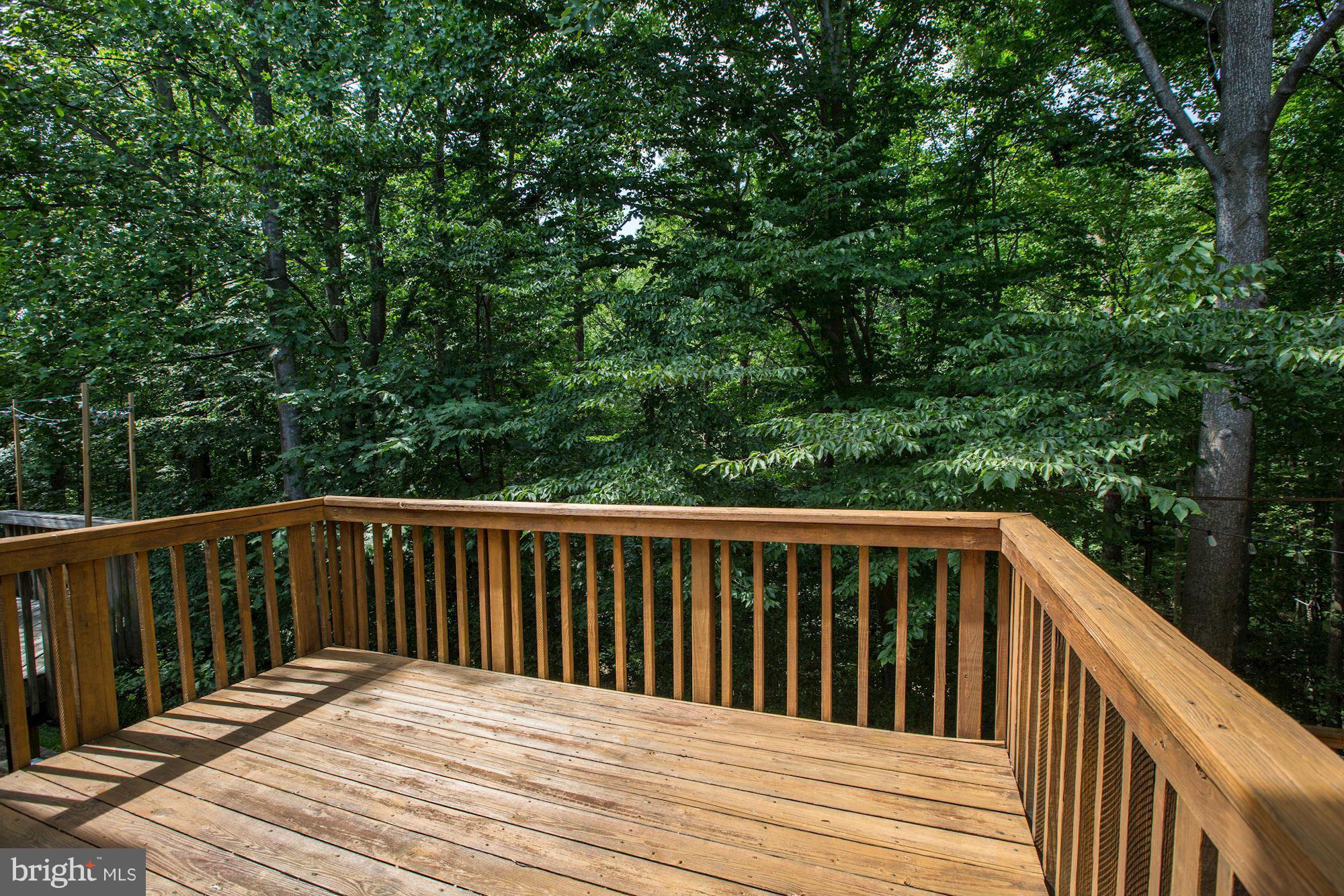 106 Finale Terrace Silver Spring, MD 20901 - Photo 15 of 18 Exterior (Rear)