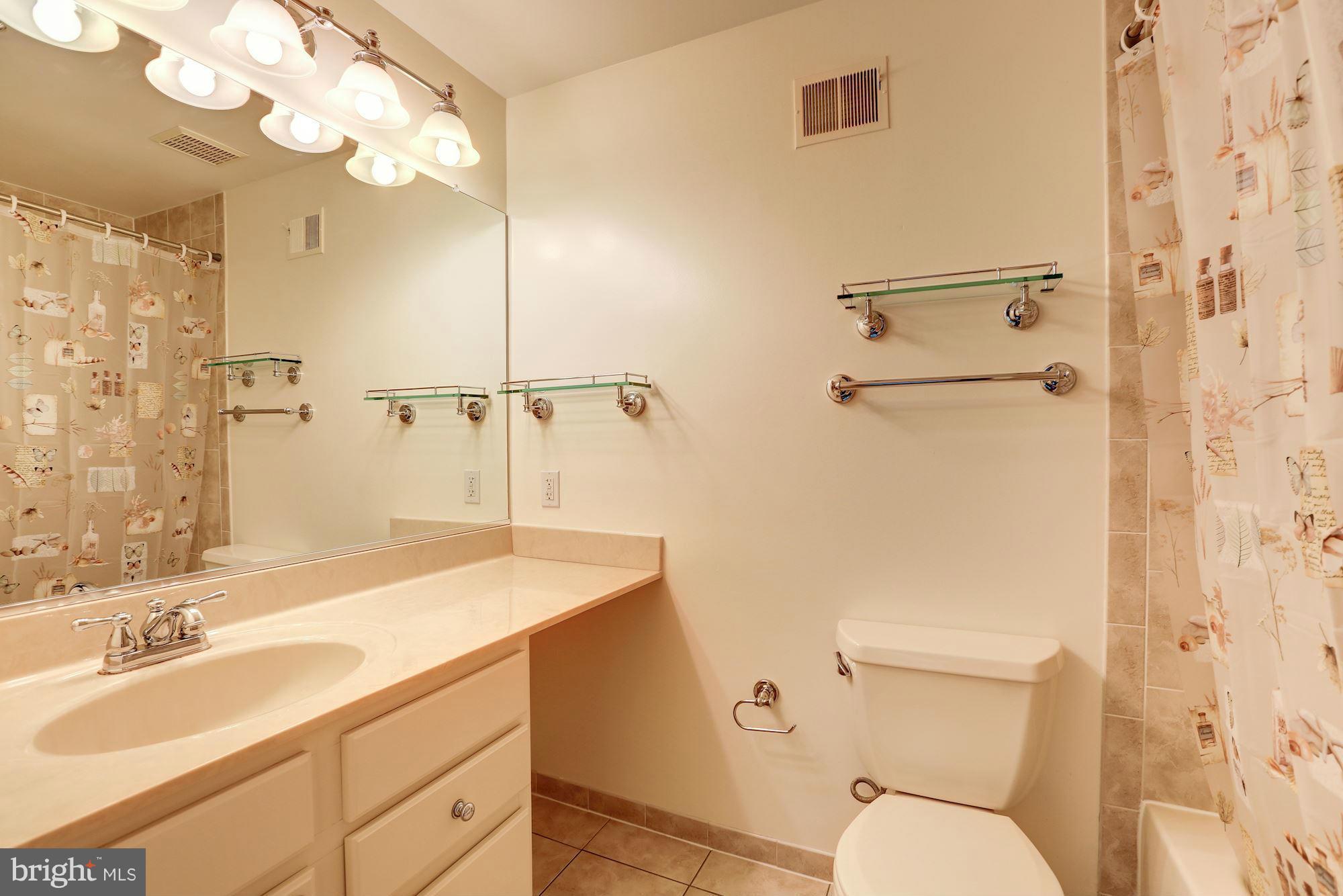 106 Finale Terrace Silver Spring, MD 20901 - Photo 9 of 18 Bath (Master)