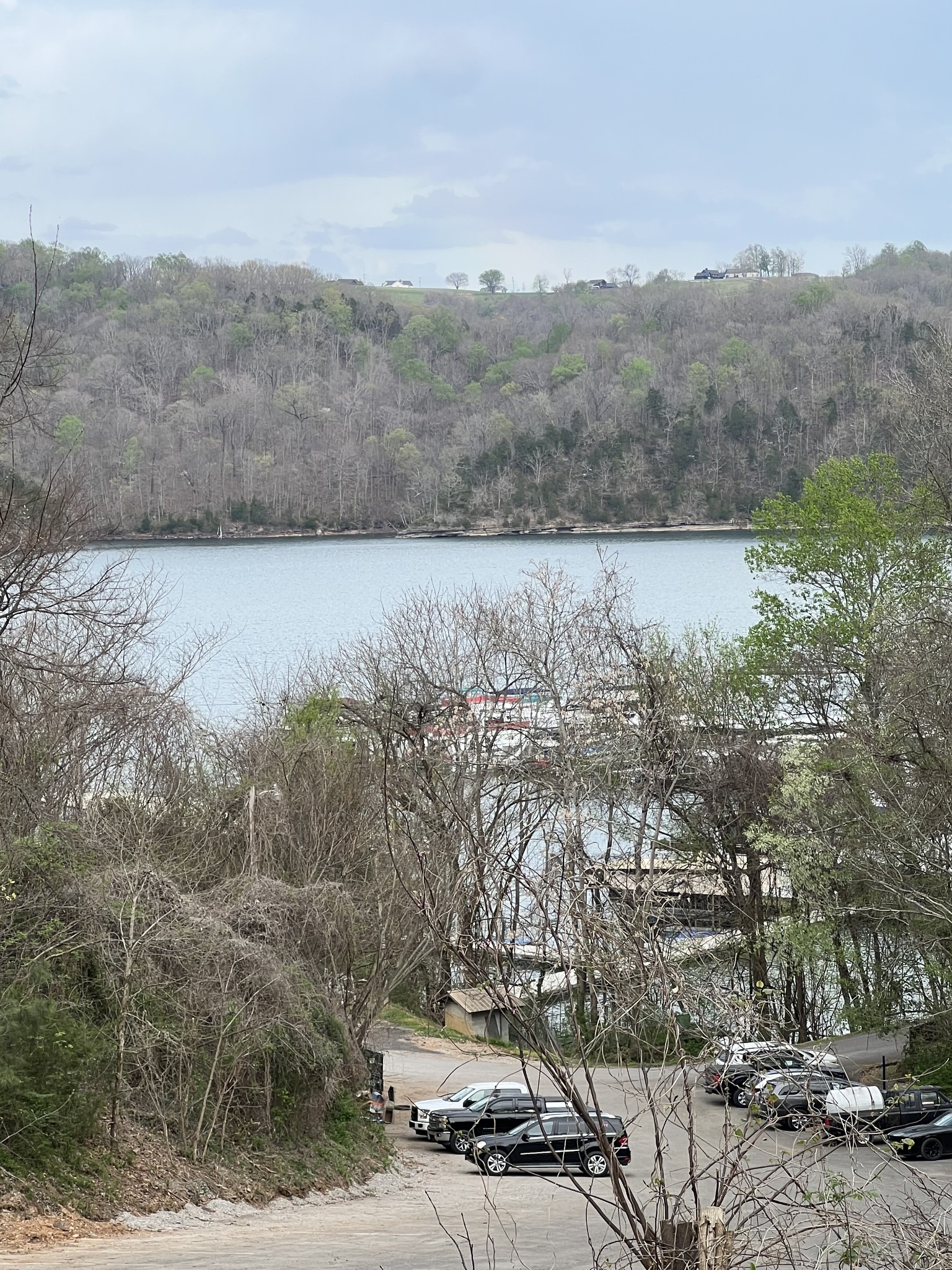 a view of a yard with wooden fence