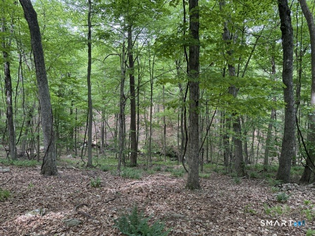 Lot10-b1 Foot Hills Road Higganum, CT 06441 - Photo 20 of 33 a view of a forest filled with trees
