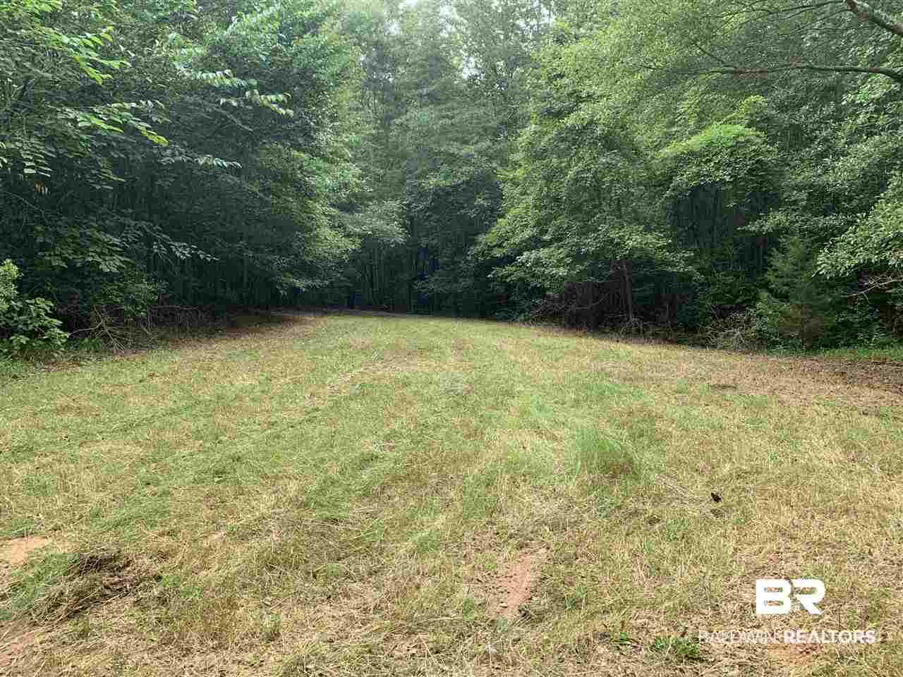 1178 Dry Lake Road Luverne, AL 36049 - Photo 22 of 50