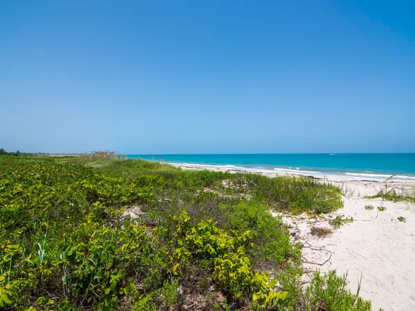 $10,000 | 1545 Pelican Lane, Vero Beach, FL 32963