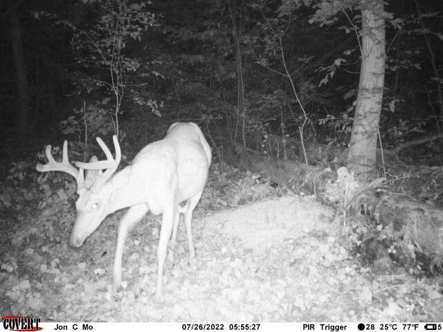 0 Featherstone Road Stewart, OH 45778 - Photo 27 of 34 IMG_1045