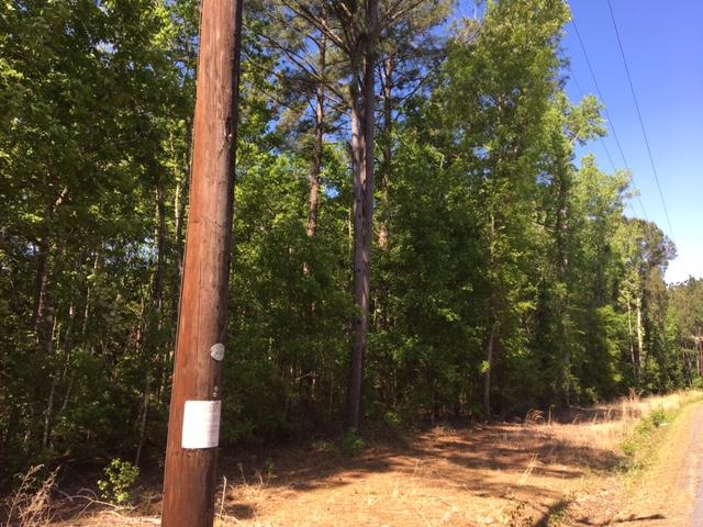 1 Possum Corner Road Walterboro, SC 29488 - Photo 2 of 7 Possum Corner Road