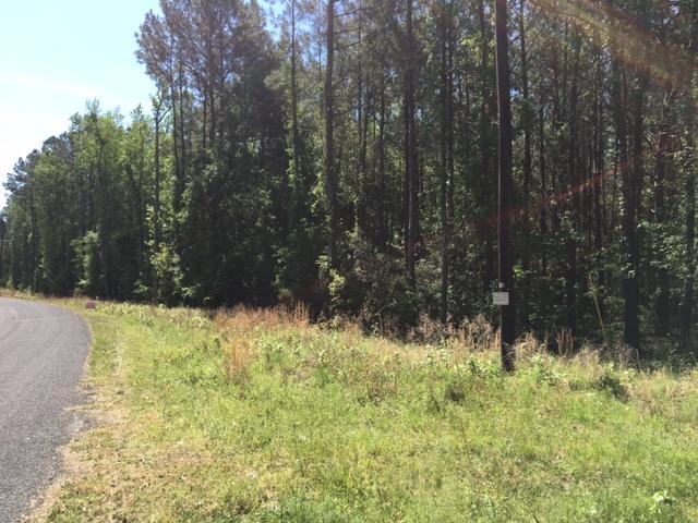 1 Possum Corner Road Walterboro, SC 29488 - Photo 3 of 7 Possum Corner Road