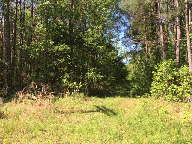 1 Possum Corner Road Walterboro, SC 29488 - Photo 4 of 7 Possum Corner Road