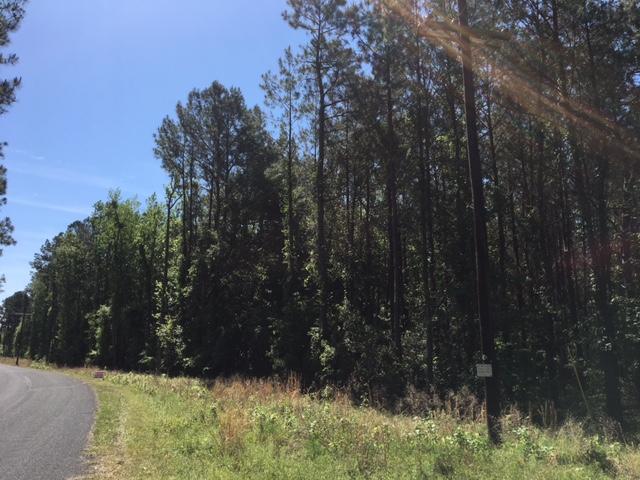 1 Possum Corner Road Walterboro, SC 29488 - Photo 7 of 7 Possum Corner Road