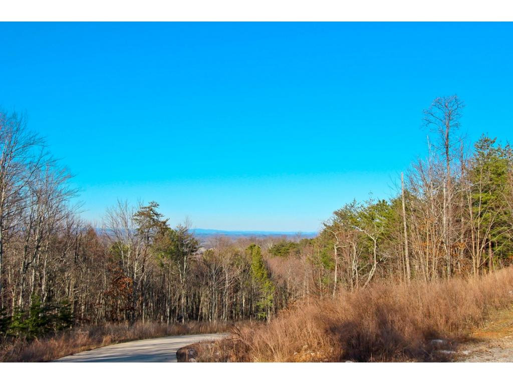 Lot 35 Trentham Road, Unit 35 Newport, TN 37821 - Photo 1 of 12 Photo 1
