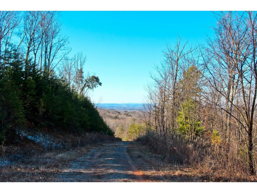 Lot 35 Trentham Road, Unit 35 Newport, TN 37821 - Photo 12 of 12 Photo 12