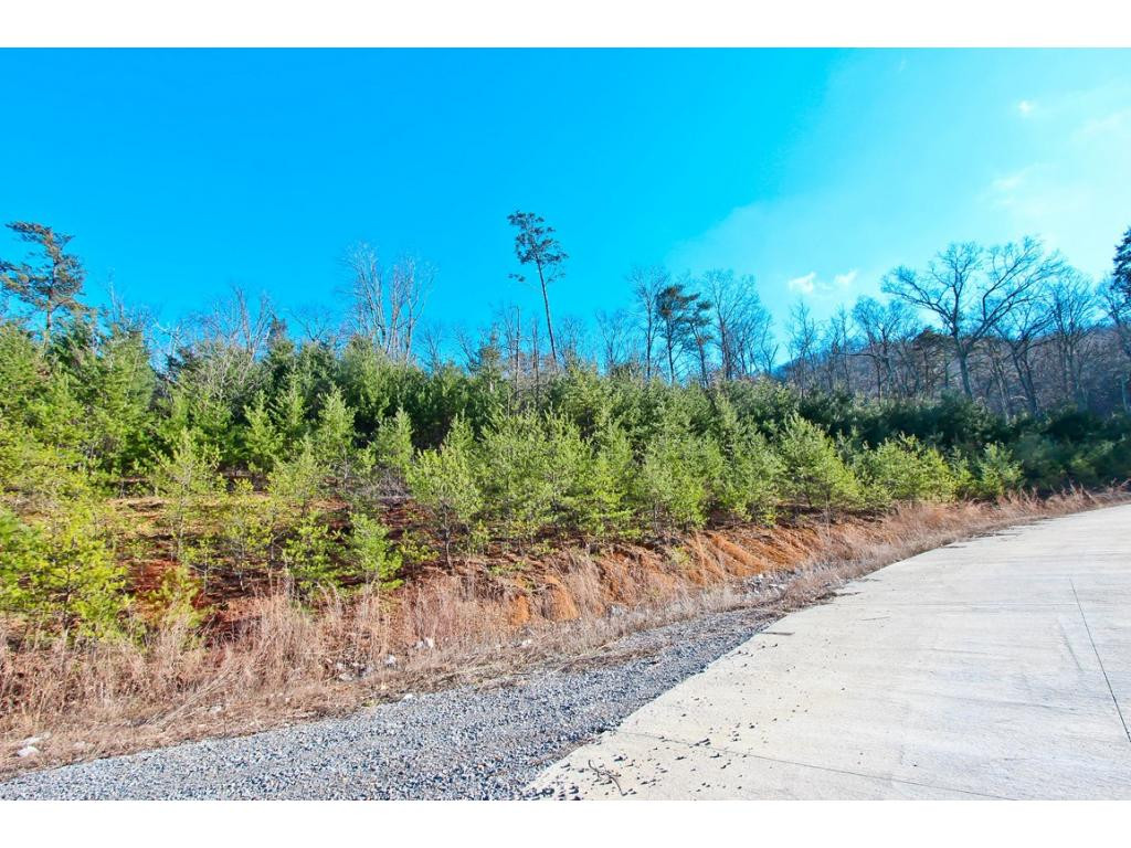 Lot 35 Trentham Road, Unit 35 Newport, TN 37821 - Photo 2 of 12 Photo 2